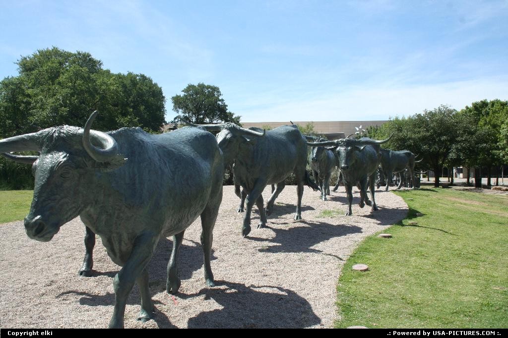 Picture by elki: Dallas Texas   dallas sculture