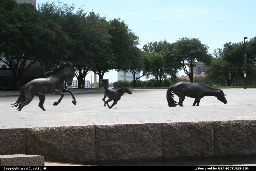 Picture by WestCoastSpirit: Irving Texas   sculture, bronze, texas