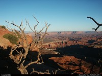 Photo by elki |  Canyonlands canyon