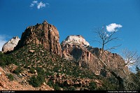 Zion: hiker's paradise!