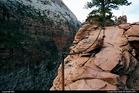 The narrow trail to Angels Landing