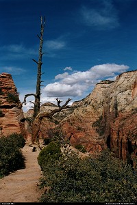 Photo by elki |  Zion hike, extreme hike