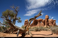 Arches national park: Double Arche trail. This is the colorized version of the photo posted last year, which one is better ?