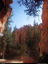 Bryce Canyon : 