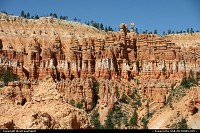 Bryce Canyon : The shape of the canyon from one of the numerous trails. Erosion of the soil is gorgeously obvious here.