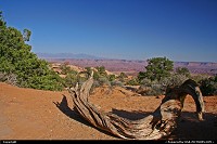 Beautiful landscape of Canyonlands NP. On the trail to Mesa Arch, can you spot it in the picture ?