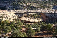 , Not in a City, UT, Natural Bridges National Monument. 