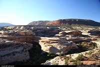 Not in a City : Natural Bridges National Monument. 