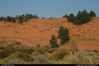 Coral Pink Sand Dunes state park...