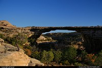 Not in a City : Natural Bridges National Monument. 