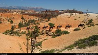 , Not in a City, UT, BRYCE CANYON NP