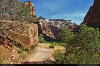 Zion National Park, the beginning of the Angels Landing trail...something you must try when visiting the park !