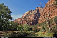 Zion National Park. The Grotto, your gateway to Angels Landing trail.