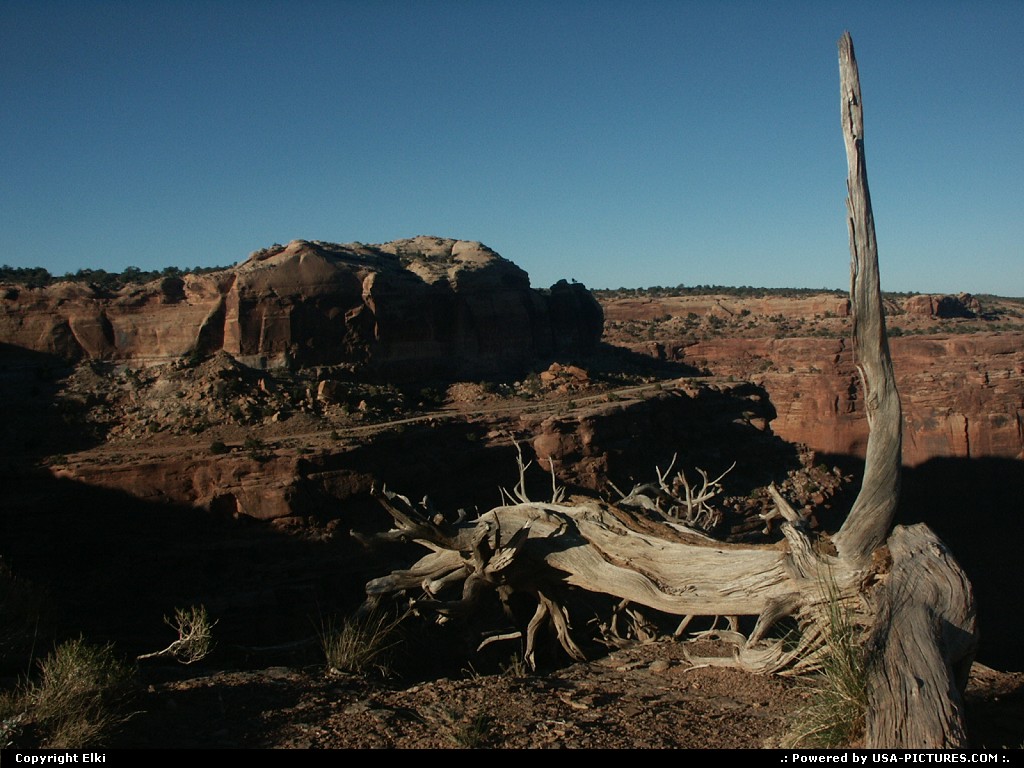 Picture by elki:  Utah Canyonlands  wilderness