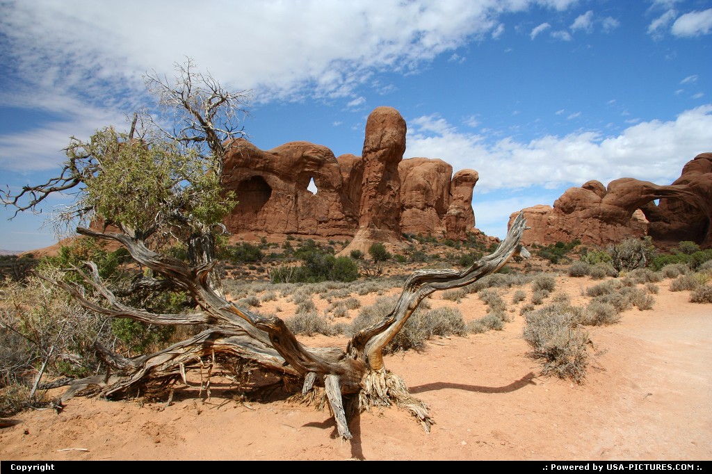 Picture by airtrainer:  Utah Arches Double Arche arches