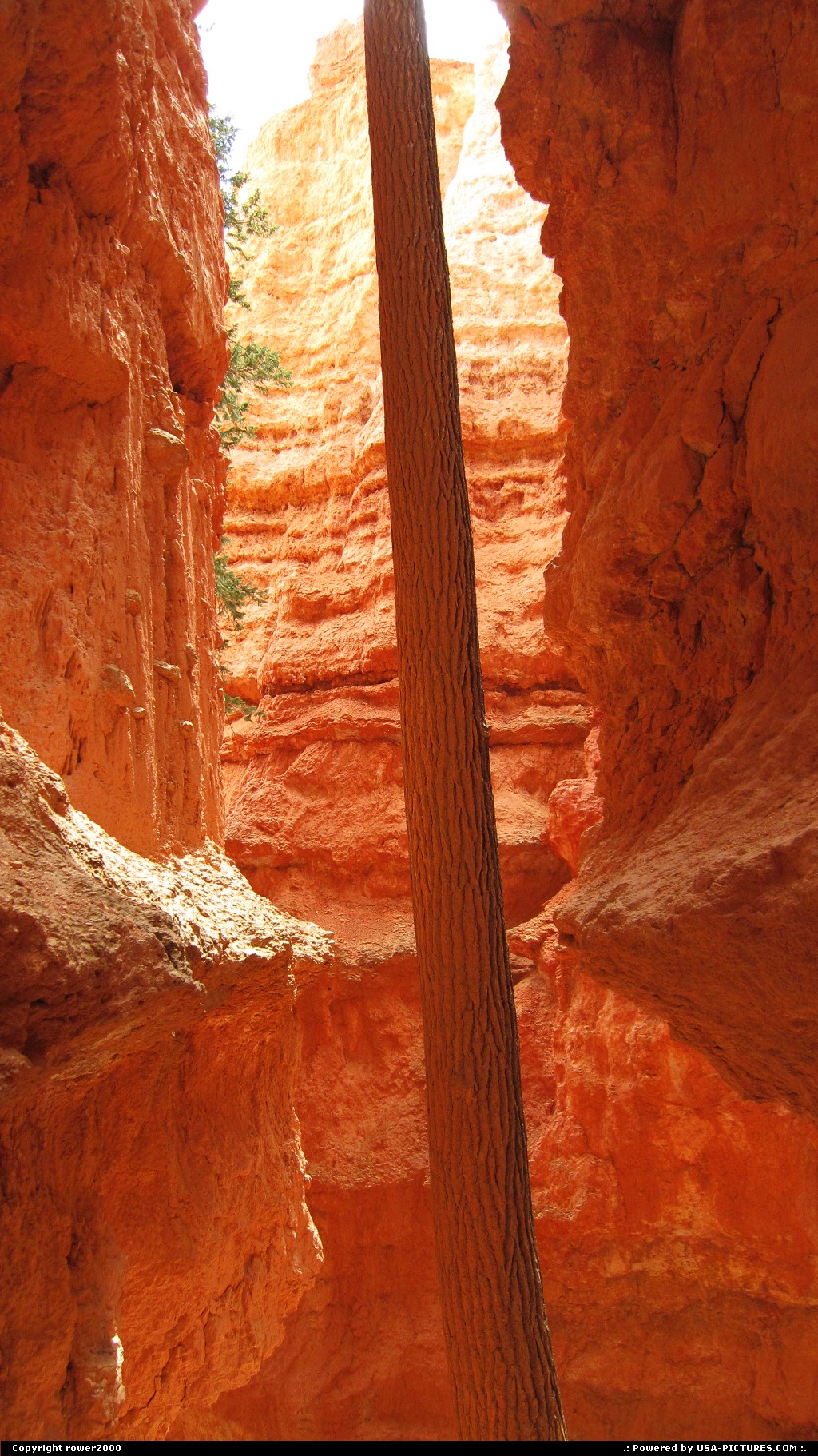 Picture by rower2000:  Utah Bryce Canyon  