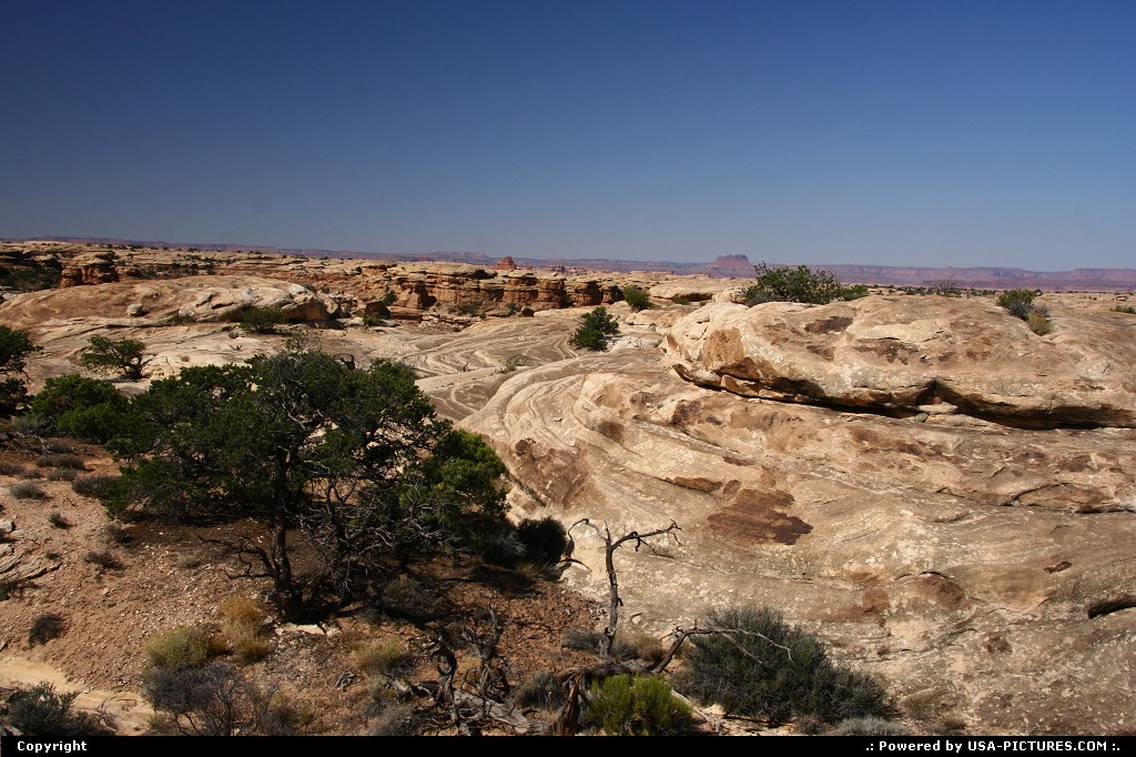 Picture by airtrainer:  Utah Canyonlands  the needles, canyonlands