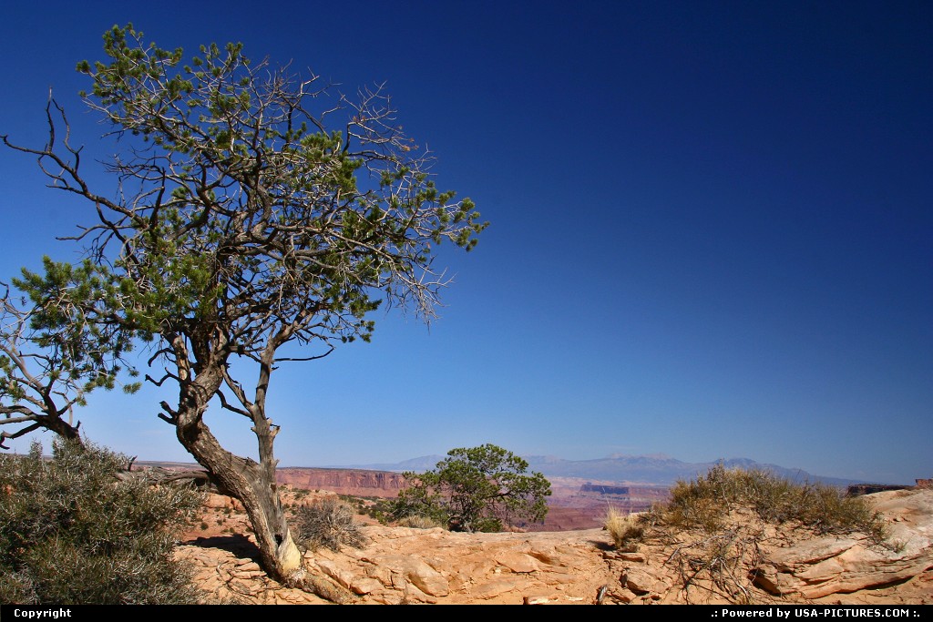 Picture by USA Picture Visitor:  Utah Canyonlands  canyonlands