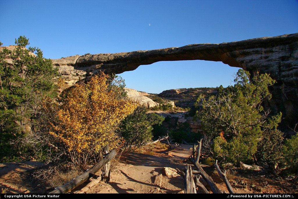 Picture by USA Picture Visitor: Not in a City Utah   natural bridges, trail