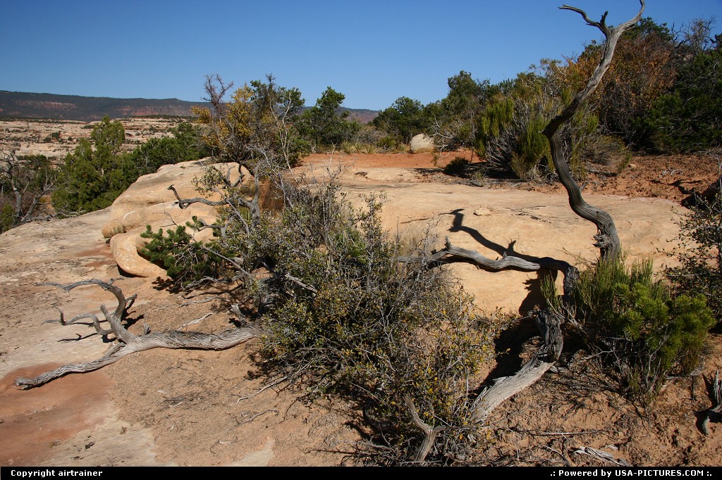 Picture by airtrainer: Not in a City Utah   natural bridges