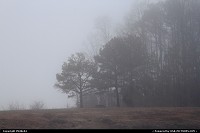 Virginia, foggy morning