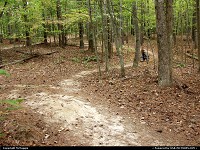 Mountain biking trails, Freedom Park, free black settlement, James City County, Williamsburg, Virginia.
