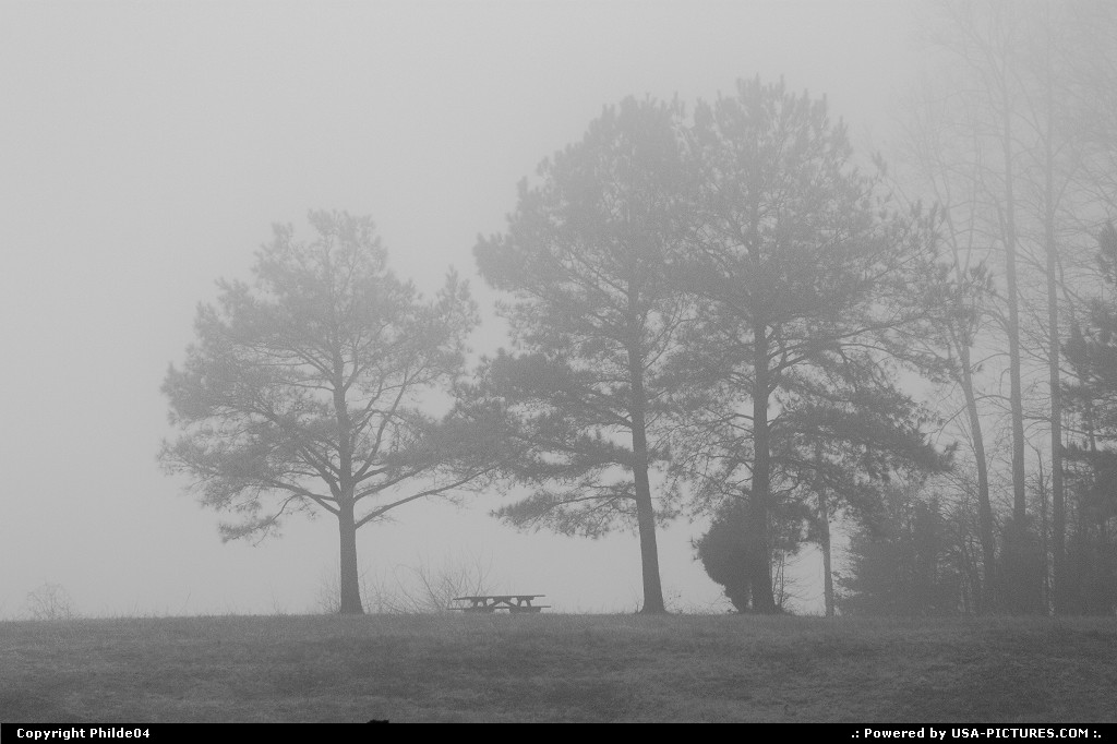 Picture by Philde04: Gloucester Virginia   fog, trees, park