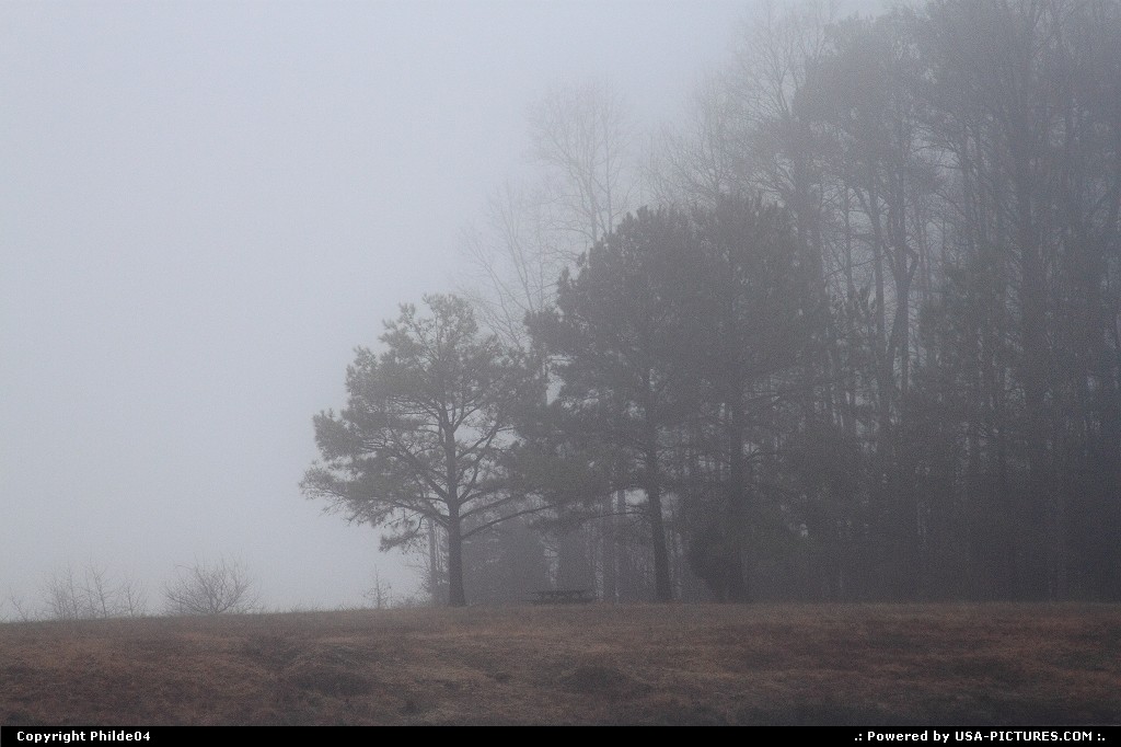 Picture by Philde04: Gloucester Virginia   foggy morning