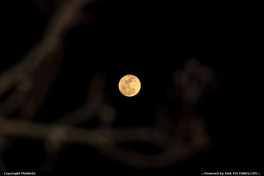 Picture by Philde04: Mathews Virginia   full moon