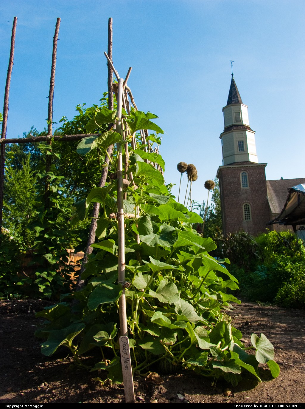 Picture by McMaggie: Williamsburg Virginia   Bruton Parish Church, kitchen gardens, gardens, museum, history, historic sites, Duke of Gloucester Street, Colonial Williamsburg, Williamsburg, Virginia, summer, July, living history, colonial history, living history museum, Virginia history