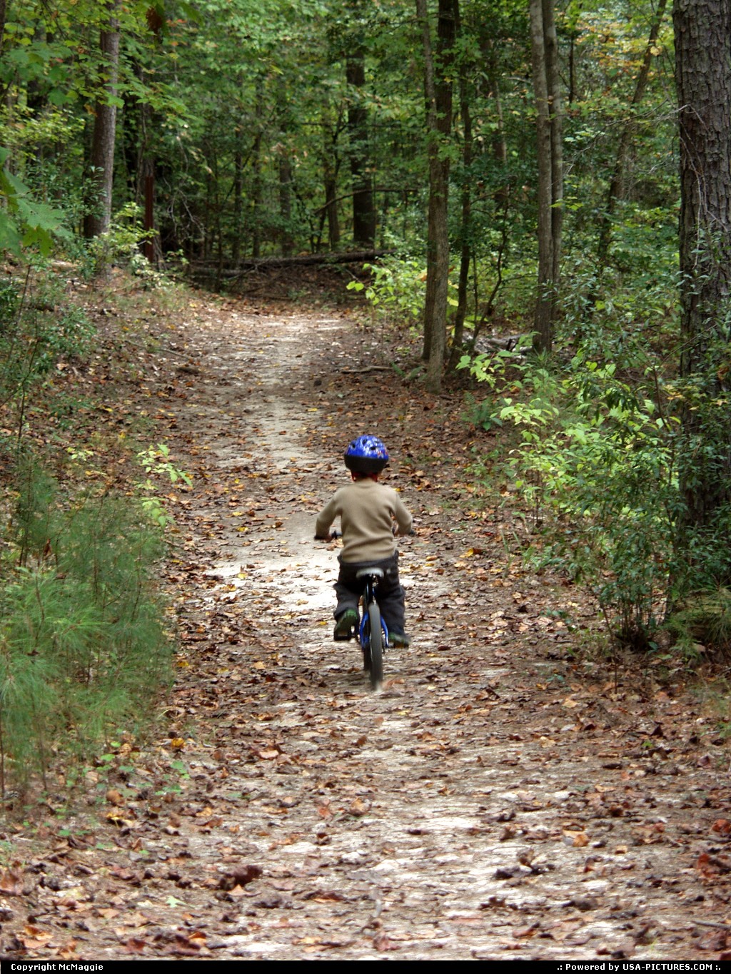 Picture by McMaggie: Williamsburg Virginia   parks, biking, trails, mountain biking trails, Freedom Park, black history, James City County, Williamsburg, Virginia, biking, bicycling