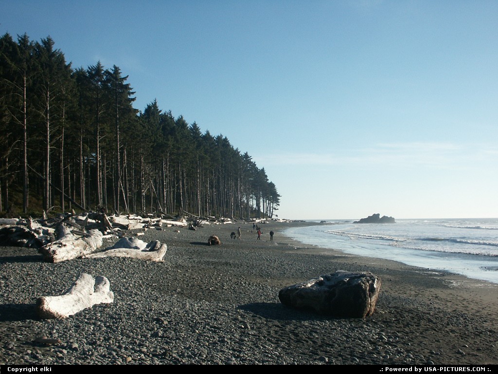 Picture by elki:  Washington Olympic Ruby Beach plage, rochers, foret