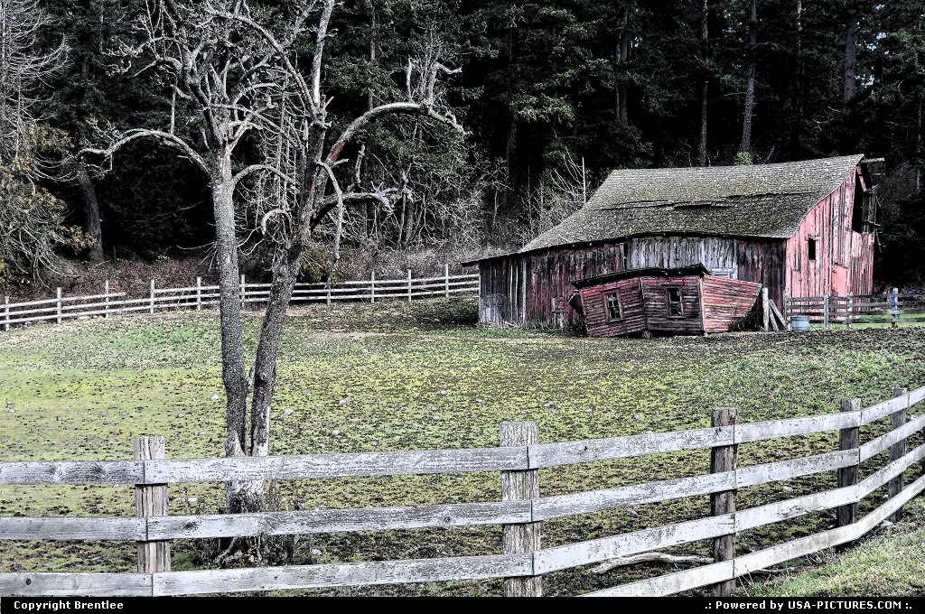 Picture by Brentlee: La Conner Washington   barn