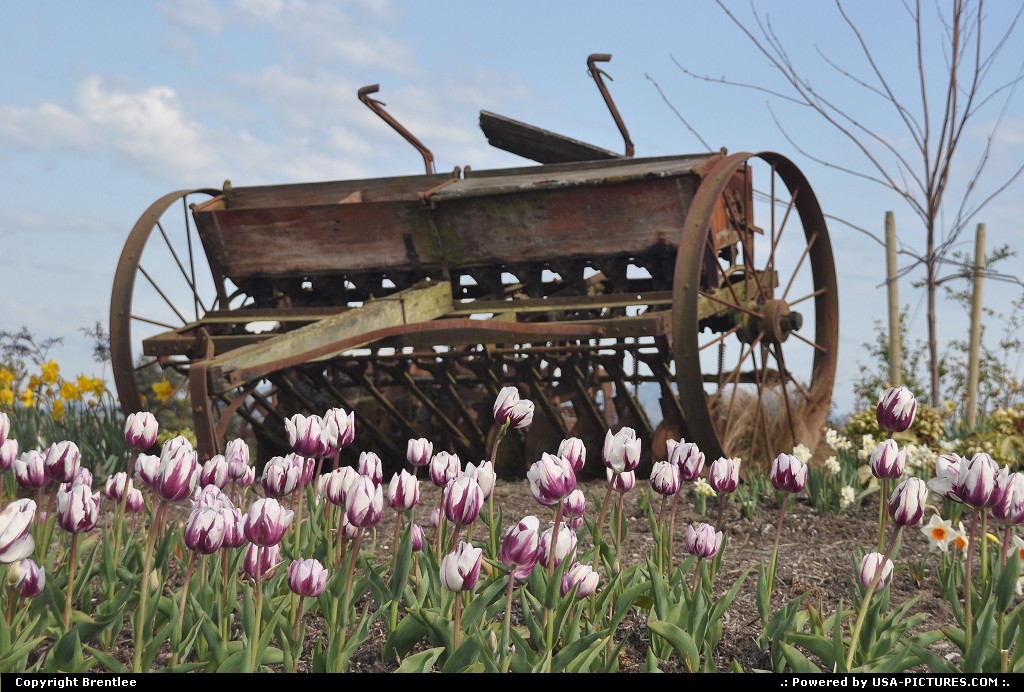 Picture by Brentlee: Mount Vernon Washington   Seed drill