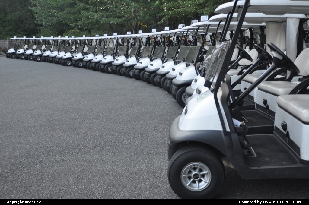 Picture by Brentlee: Mount Vernon Washington   golf carts