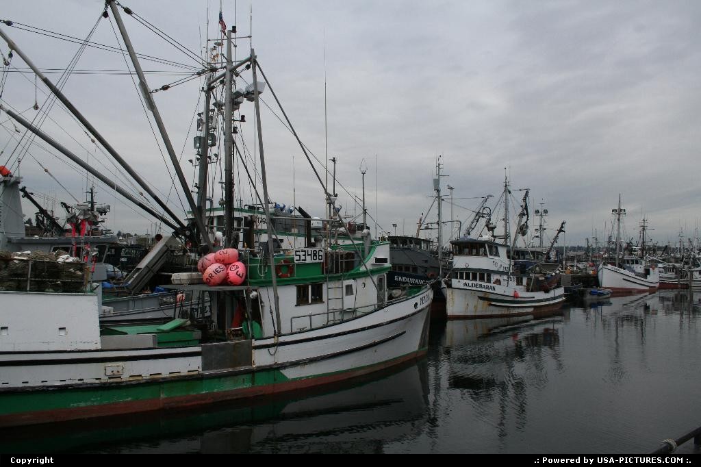 Picture by elki: Seattle Washington   boat, sea, fishermen