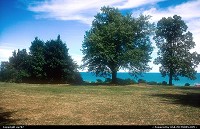 Another insight of Veterans Park. Extensive Lake Michigan provides for the horizon