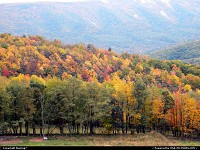 W-virginia, Multi-colored blanket of forest in the mountains of West Virginia