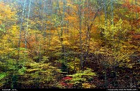 Photo by _Kyra_ | Logan  Fall, mountains, autum, trees, colors