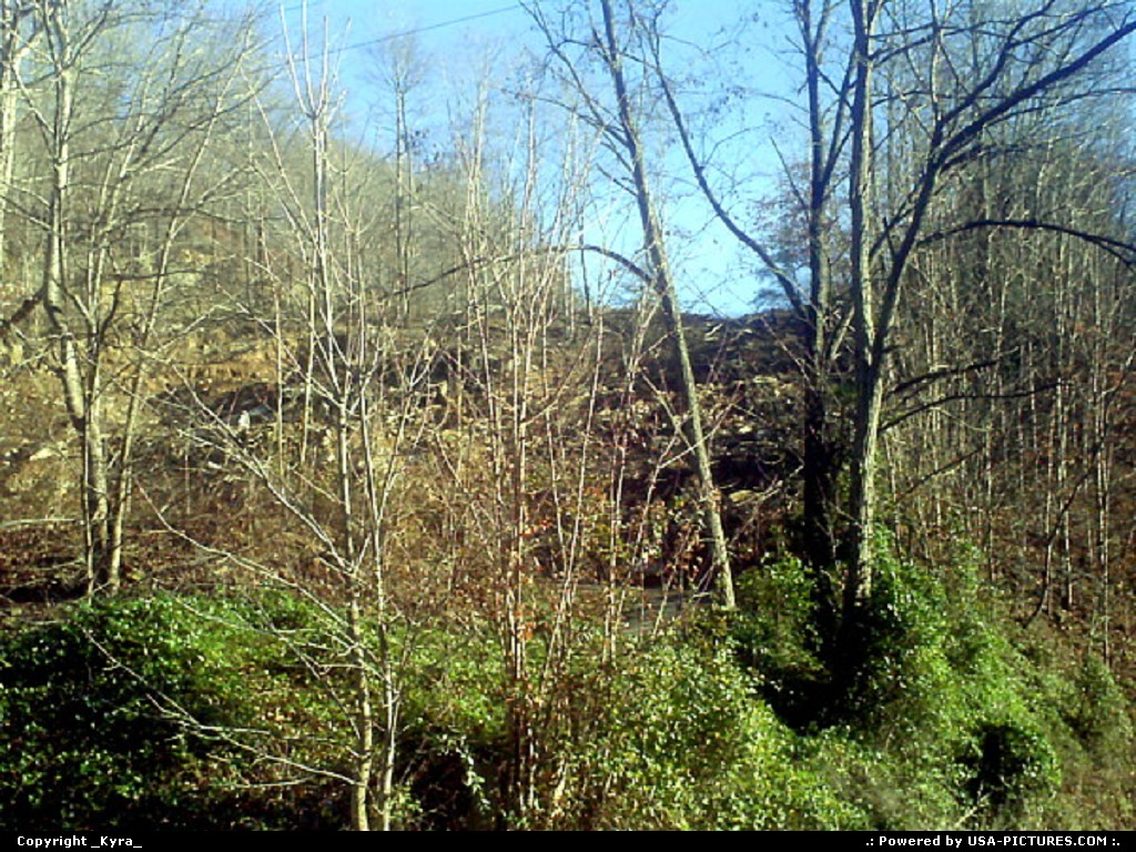 Picture by _Kyra_: Justice W-virginia   trees, treen, mountain, fall, autum, leaves, leaf