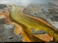 Yellowstone : Amazing details and colors