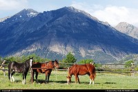 Photo by camocamera | Cody  Horses, mountains