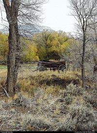 Wyoming, Wapiti Wagon